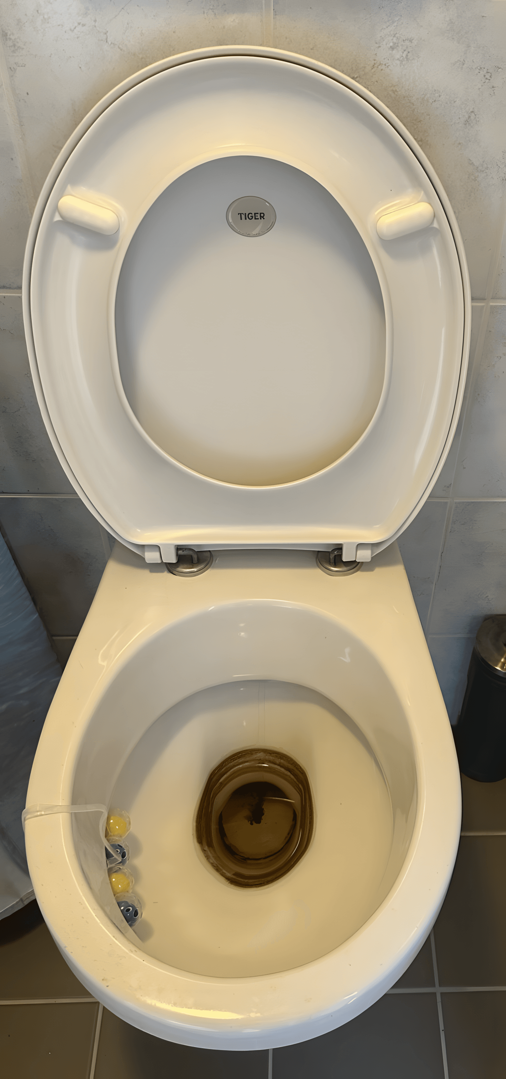 Toilet voor